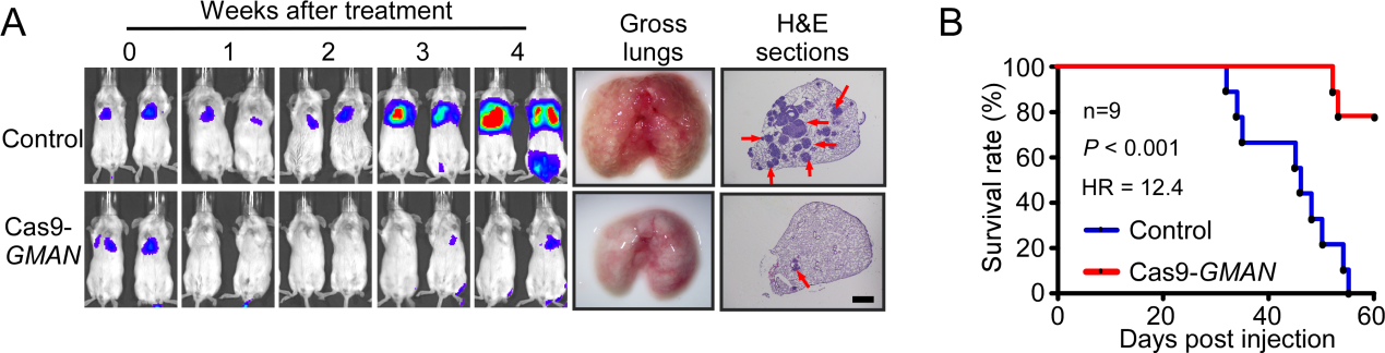 1543807637138910.png 1543807637138910.png