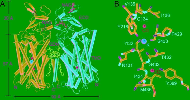 1574154275890413.jpg 3.jpg